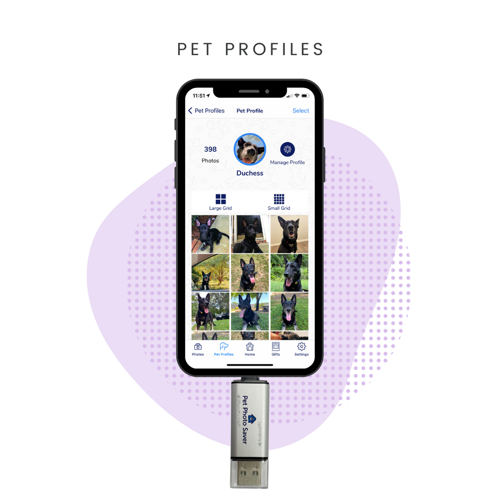 Create automated pet profiles