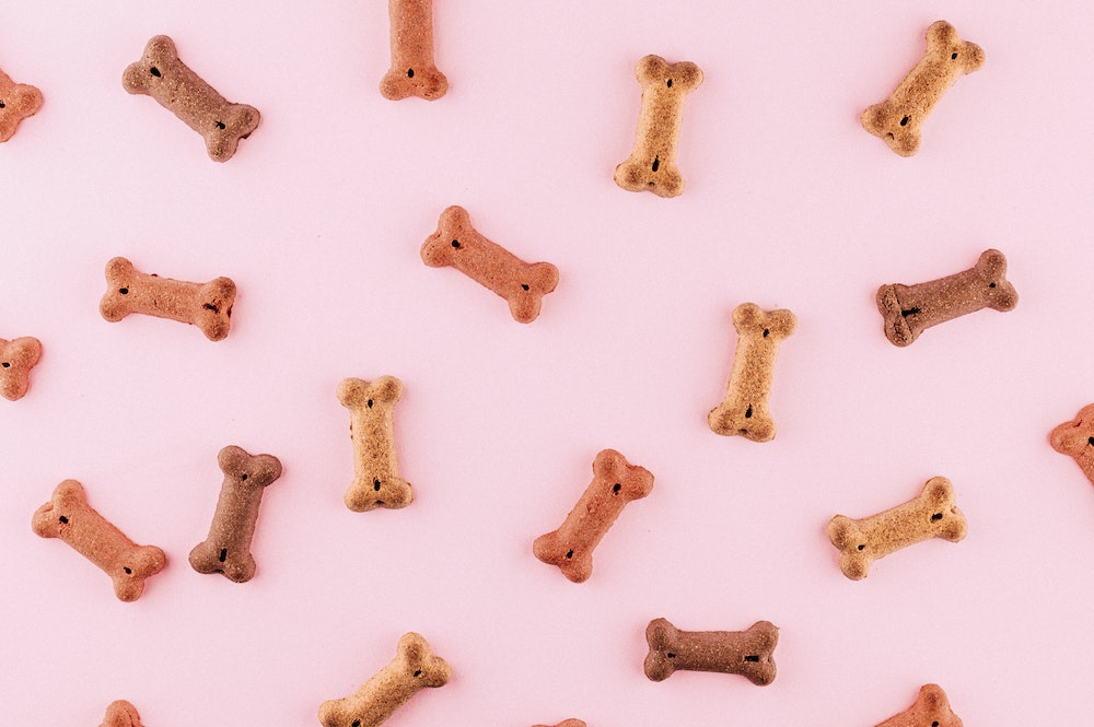 Homemade dog biscuits against a pink background 