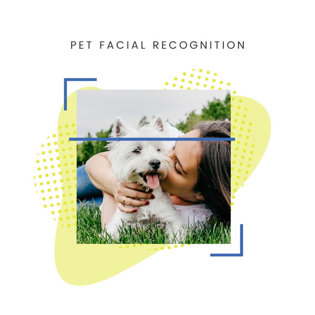 Pet Facial Recognition Feature